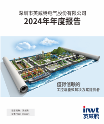 2024年年度报告